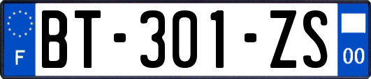 BT-301-ZS