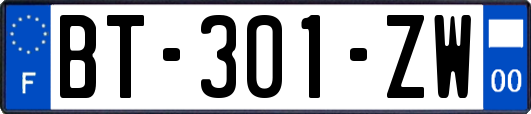 BT-301-ZW