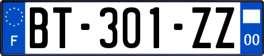 BT-301-ZZ