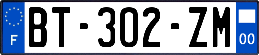 BT-302-ZM