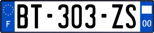 BT-303-ZS