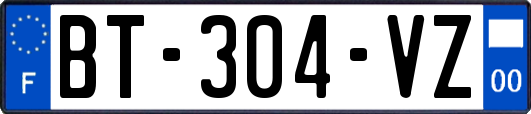 BT-304-VZ