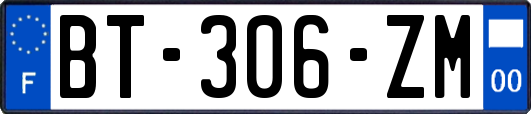 BT-306-ZM