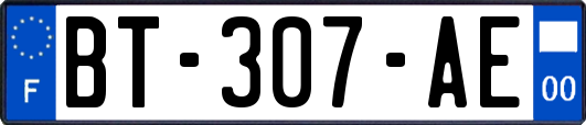 BT-307-AE