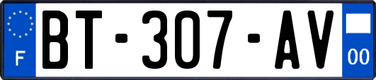 BT-307-AV