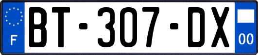 BT-307-DX
