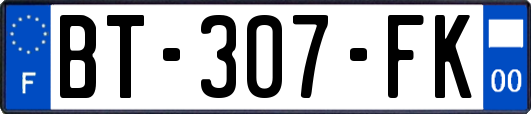 BT-307-FK