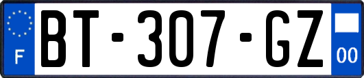 BT-307-GZ