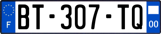 BT-307-TQ