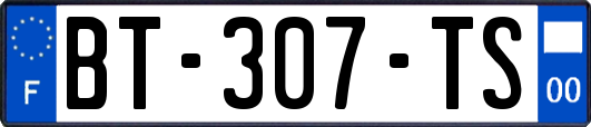 BT-307-TS