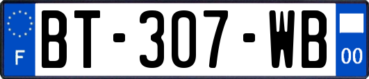 BT-307-WB