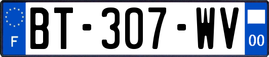 BT-307-WV