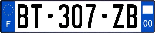 BT-307-ZB