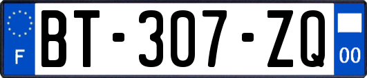 BT-307-ZQ