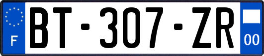 BT-307-ZR