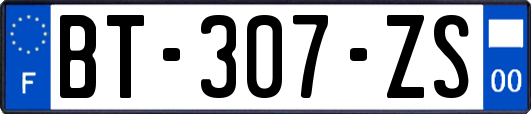 BT-307-ZS