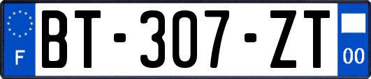 BT-307-ZT