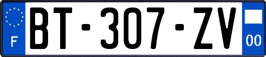 BT-307-ZV