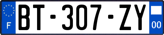 BT-307-ZY