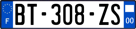 BT-308-ZS