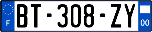 BT-308-ZY