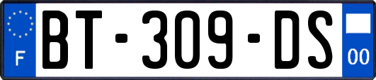 BT-309-DS