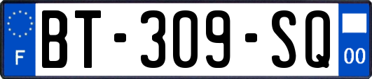 BT-309-SQ