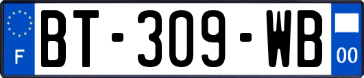 BT-309-WB