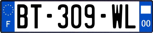 BT-309-WL