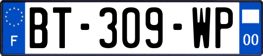 BT-309-WP