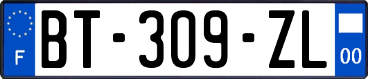 BT-309-ZL