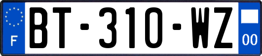 BT-310-WZ