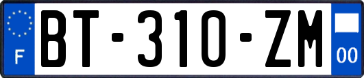 BT-310-ZM