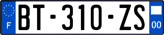 BT-310-ZS