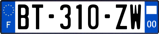 BT-310-ZW