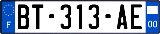 BT-313-AE