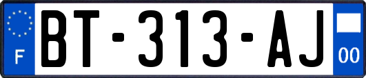 BT-313-AJ