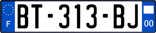 BT-313-BJ