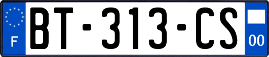 BT-313-CS