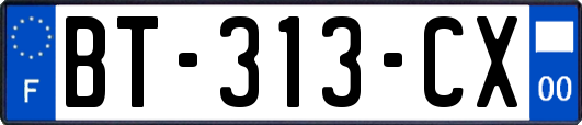 BT-313-CX