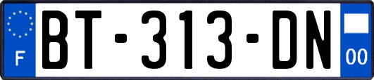 BT-313-DN
