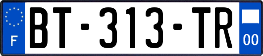 BT-313-TR