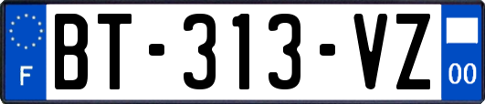 BT-313-VZ