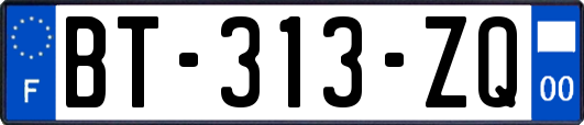 BT-313-ZQ