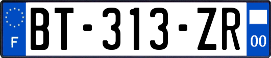 BT-313-ZR