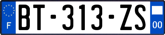 BT-313-ZS