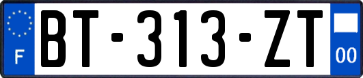 BT-313-ZT