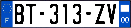 BT-313-ZV