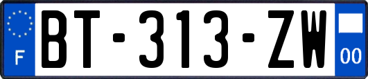 BT-313-ZW