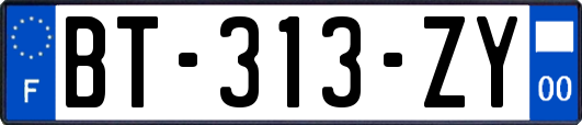 BT-313-ZY